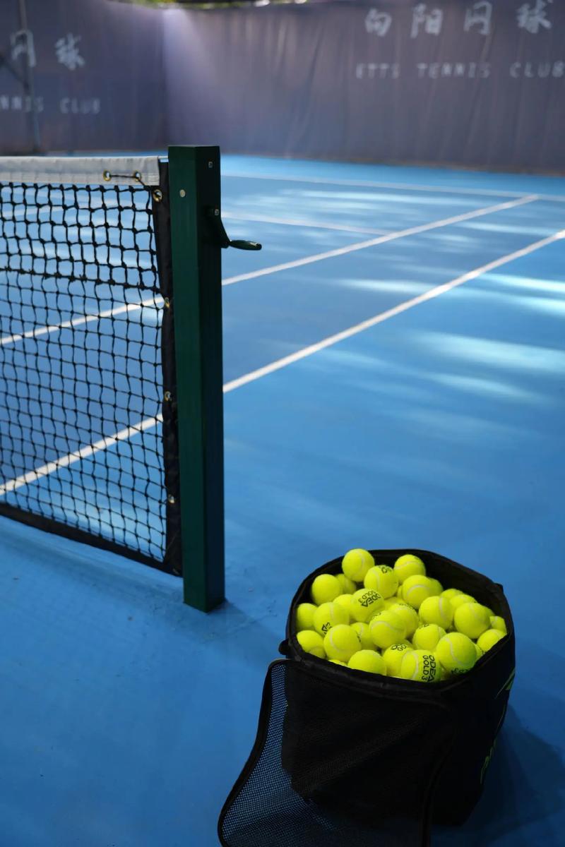 小阵容如何 小阵容如何